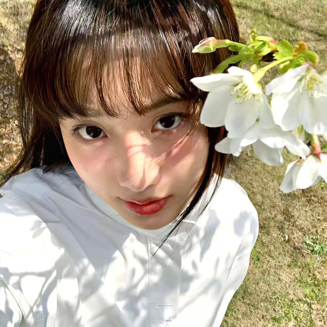 海上花1998
